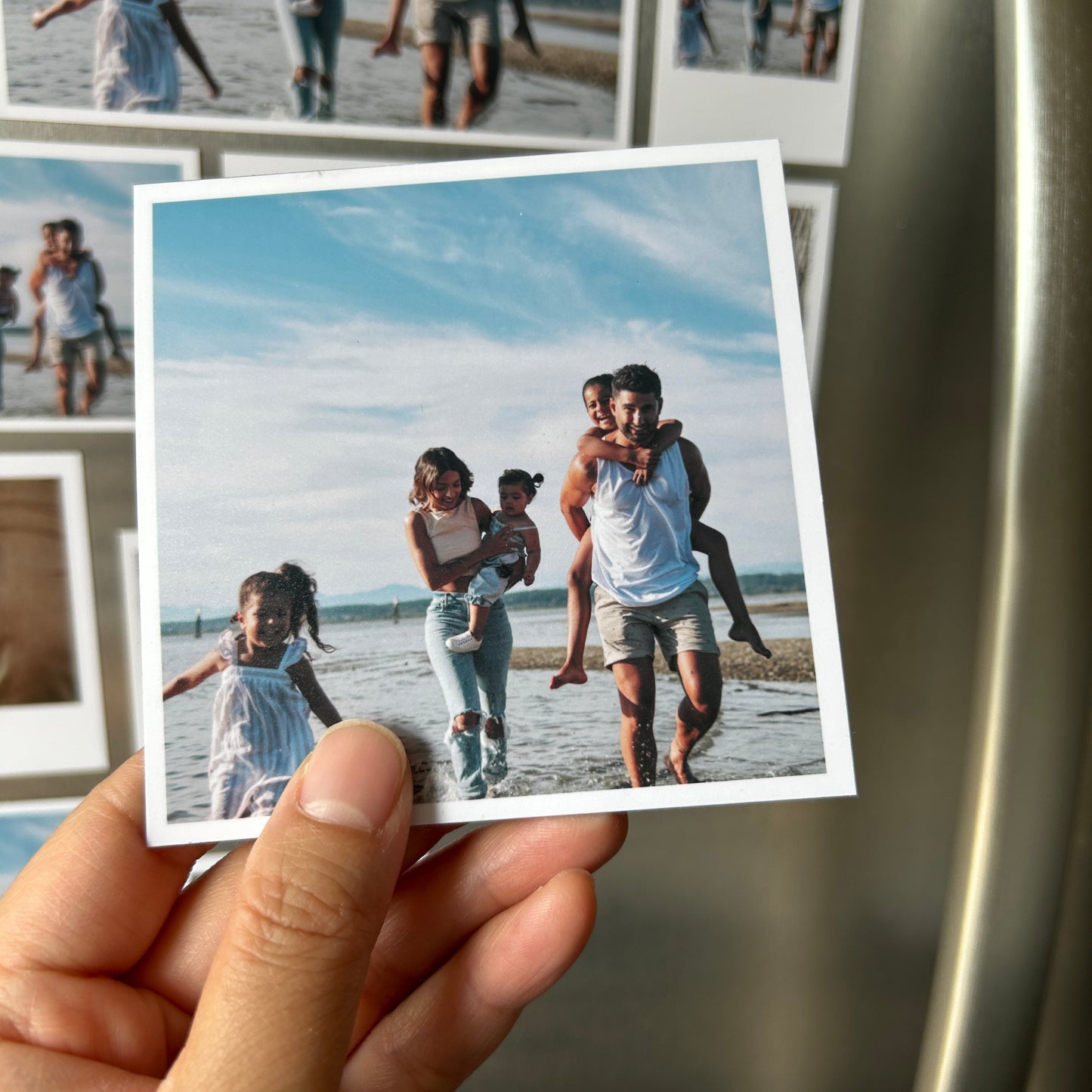 Medium Flex Magnets Timeless Crafts